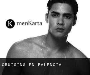 cruising palencia|Gay Hotspot en Palencia